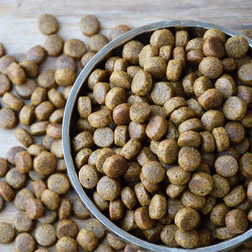 dog food in a bowl